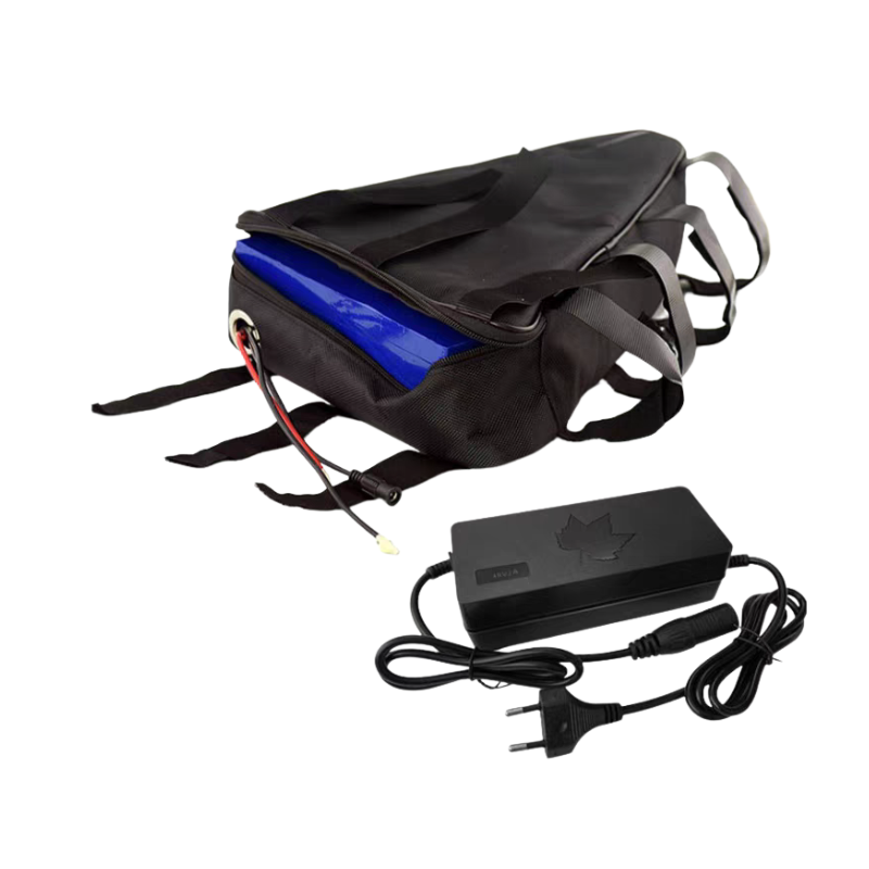 52V 20Ah 삼각형 전기자전거 배터리 팩 36V 4 - Ebike Battery 52V 20Ah Triangle Pack 리뷰 및 가격